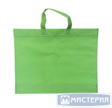 Сумка 350х445х100 мм с петлев. ручками, зел., спанбонд 50 шт/упак 400 шт/кор РОССИЯ